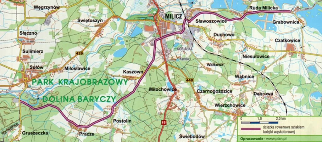 Gdzie zbierać grzyby we Wrocławiu i okolicach: przewodnik 2025