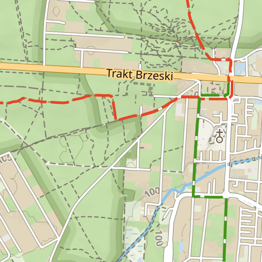 Gdzie zbierać grzyby pod Warszawą w 2025 roku: sprawdzone lokalizacje i wskazówki