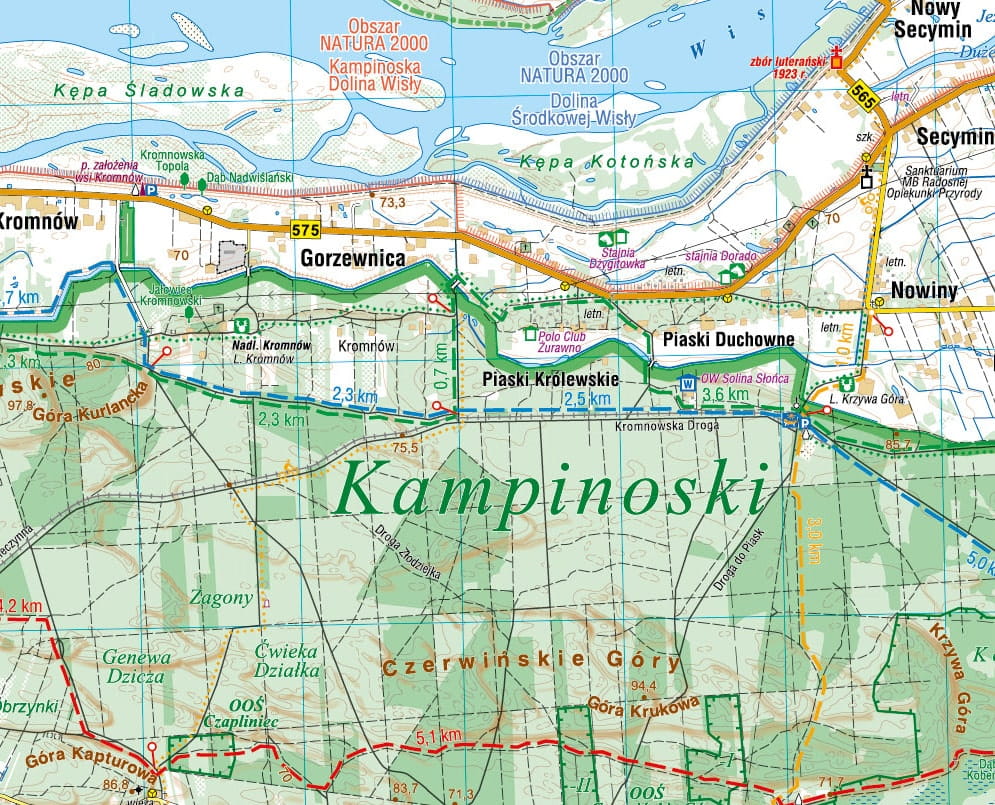 Gdzie zbierać grzyby pod Warszawą w 2025 roku: sprawdzone lokalizacje i wskazówki