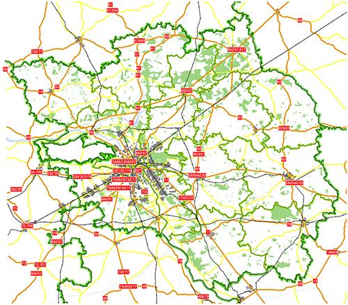Gdzie zbierać grzyby pod Warszawą w 2025 roku: sprawdzone lokalizacje i wskazówki