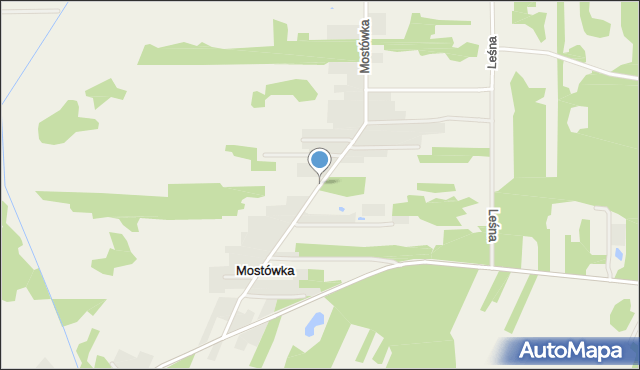 Gdzie zbierać grzyby pod Warszawą w 2025 roku: sprawdzone lokalizacje i wskazówki