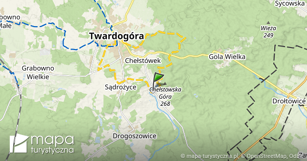 Gdzie zbierać grzyby we Wrocławiu i okolicach: przewodnik 2025