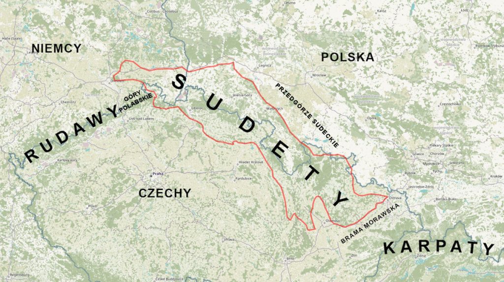 Gdzie zbierać grzyby we Wrocławiu i okolicach: przewodnik 2025