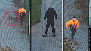 Dramat w Bogatyni: sfora psów zaatakowała chłopca, uratował go kierowca