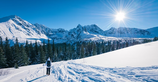 Jaka będzie zima 2025 w Polsce? Prognoza synoptyków: czy czekają nas silne mrozy i dużo śniegu?