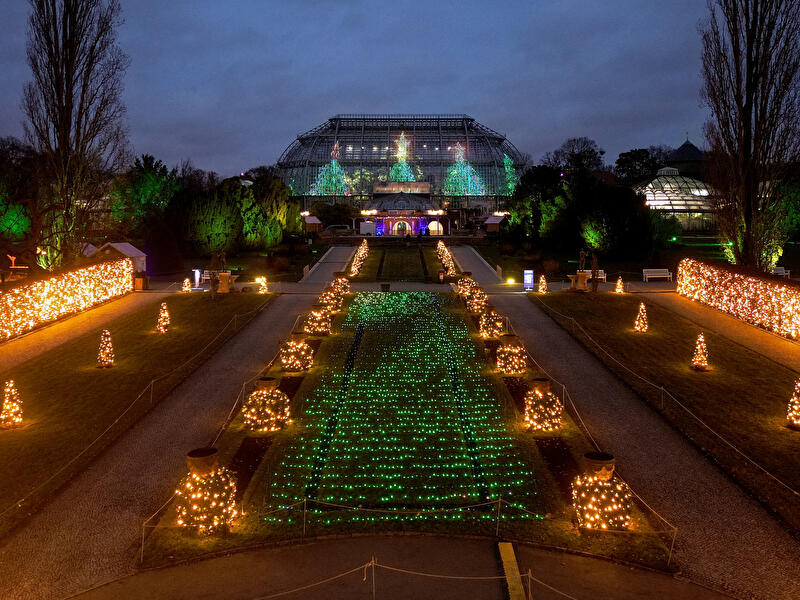 Koncerty w Warszawie w grudniu 2025 – najciekawsze wydarzenia i ceny