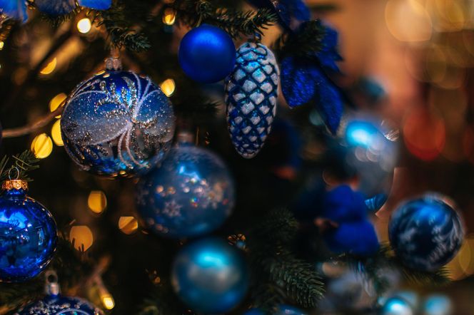 Choinka sztuczna czy żywa? Ceny i wybór w Polsce na 2025 rok