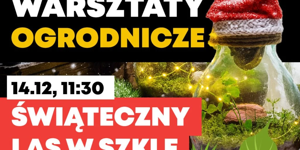 Świąteczne warsztaty w Orientarium Zoo Łódź 2025 – stwórz własny las w szkle