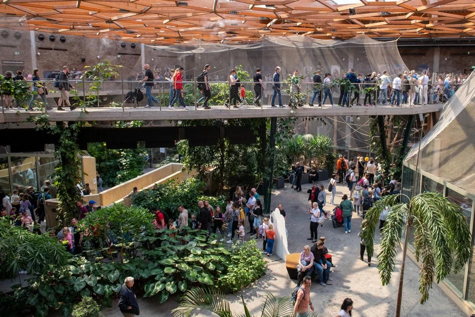 Świąteczne warsztaty w Orientarium Zoo Łódź 2025 – stwórz własny las w szkle