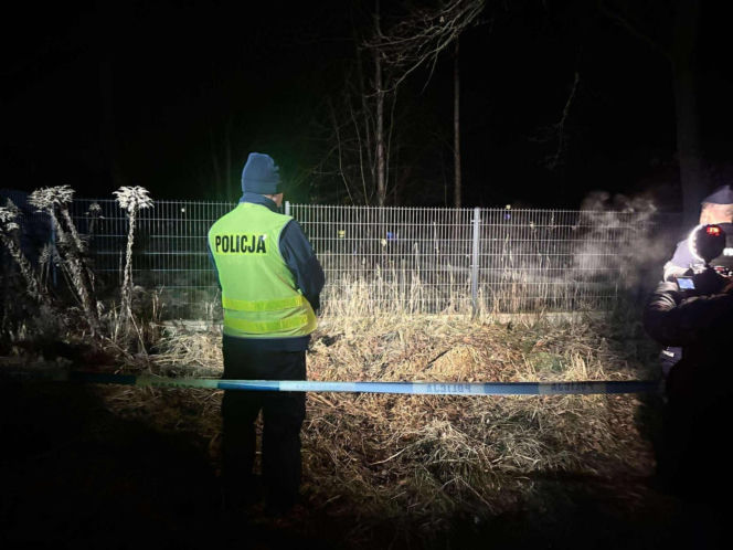 Zatrzymana 12-latka w sprawie zabójstwa 11-latki w Jeleniej Górze – co dalej?