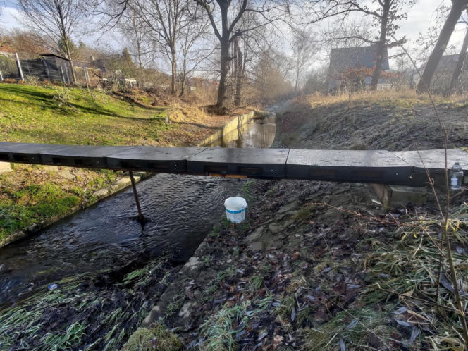 Zatrzymana 12-latka w sprawie zabójstwa 11-latki w Jeleniej Górze – co dalej?