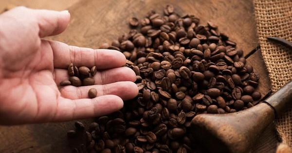 Która kawa lepsza: arabica czy robusta? Porównanie dla konsumentów. Сzym się różnią, która kawa jest mocniejsza i droższa