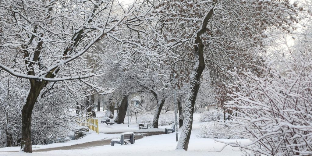 Zima nie odpuszcza. Kolejne fale śniegu i silny mróz w całej Polsce