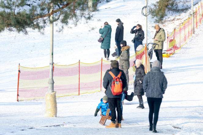 Katowice zimą: gdzie wybrać się na sanki bez wyjazdu z miasta