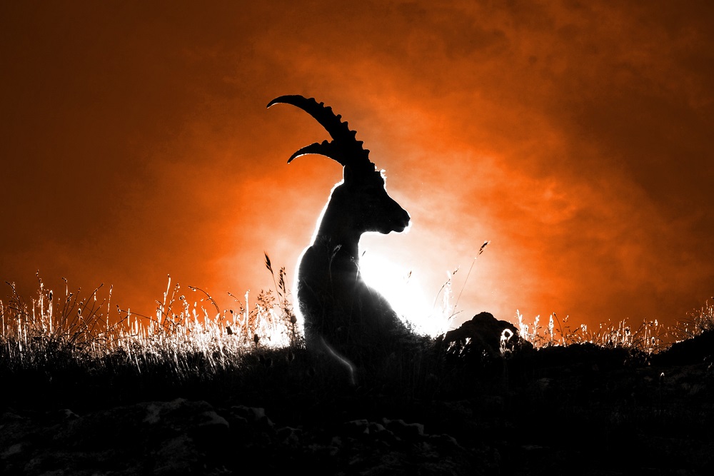 Nów Księżyca w styczniu 2026: data, zakazy i wpływ na życie