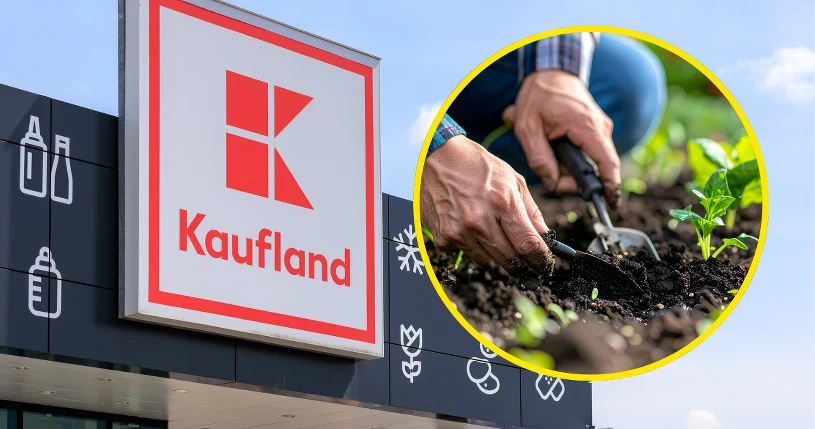 Promocja Parkside w Kaufland – obrzeża, narzędzia i lazury do drewna taniej