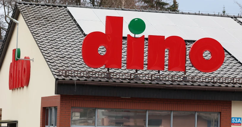 Dino rusza z ofertą ogrodową 2026. Ile kosztują tulipany i cebula dymka?