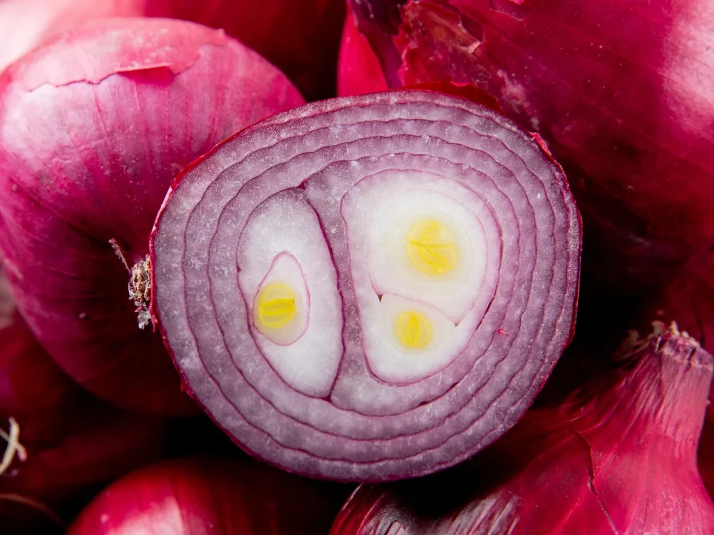 Pilny komunikat Biedronki: czerwona cebula wycofana ze sprzedaży. Sprawdź numery partii