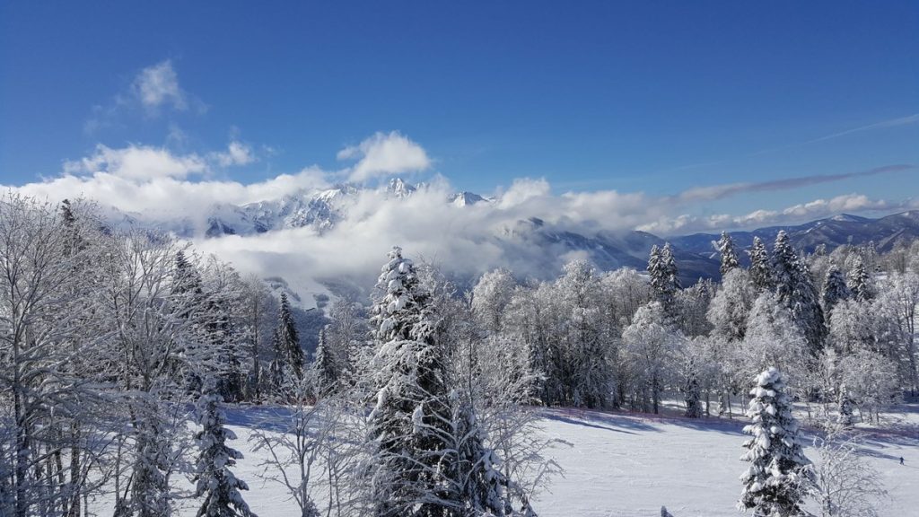 Pogoda w Polsce w lutym 2026: kiedy będzie ocieplenie? Prognoza po fali mrozów