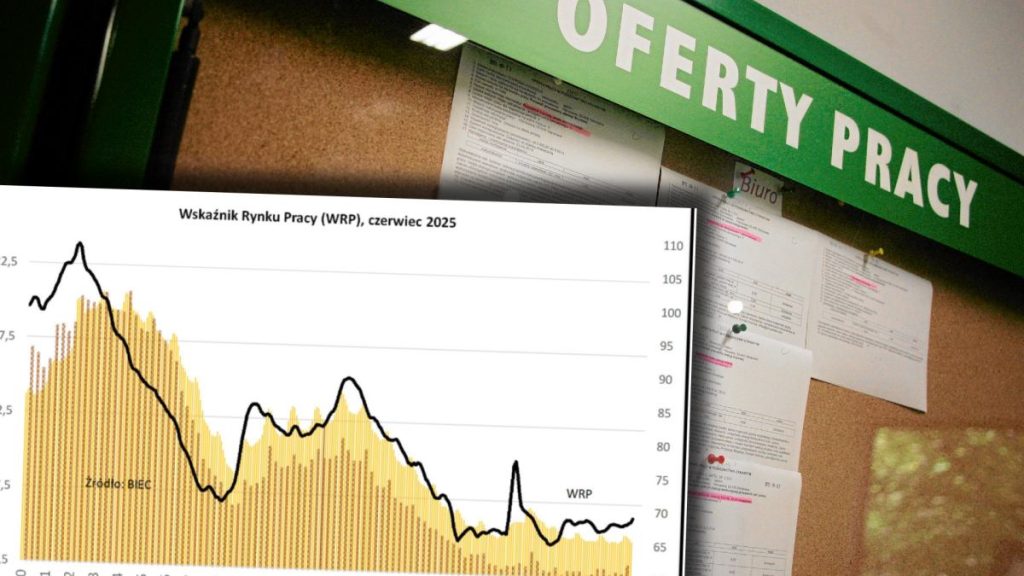 Bezrobocie rośnie, ofert pracy ubywa. Co dzieje się na rynku pracy w Polsce? Bezrobocie rośnie, ofert pracy ubywa. Co dzieje się na rynku pracy w Polsce?