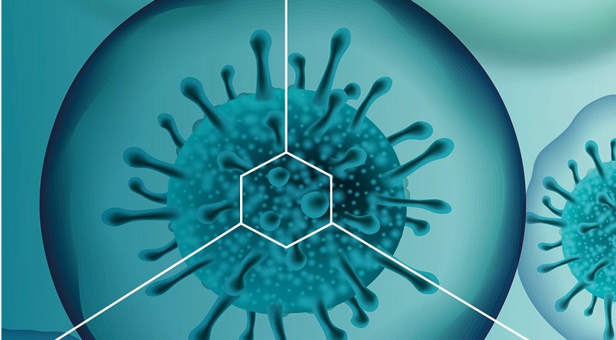 Spermidyna pod lupą naukowców. Popularny składnik suplementów może wspierać rozwój raka.