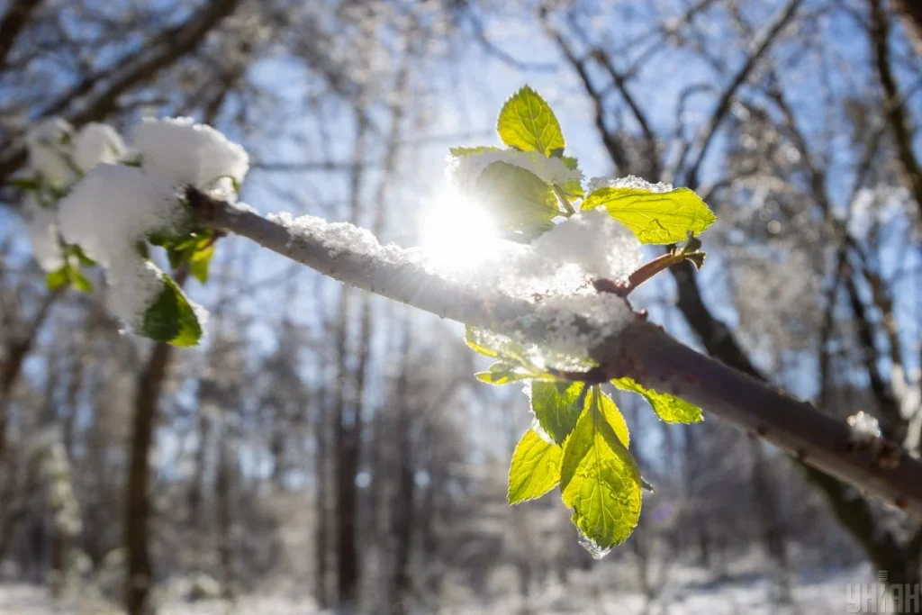 Wiosna 2026: astronomiczna, kalendarzowa i meteorologiczna – różnice wyjaśnione