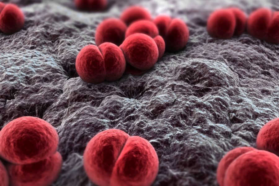 Epidemia meningokoków w Anglii przyspiesza. Czy grozi śmiercią i jak się przenosi?