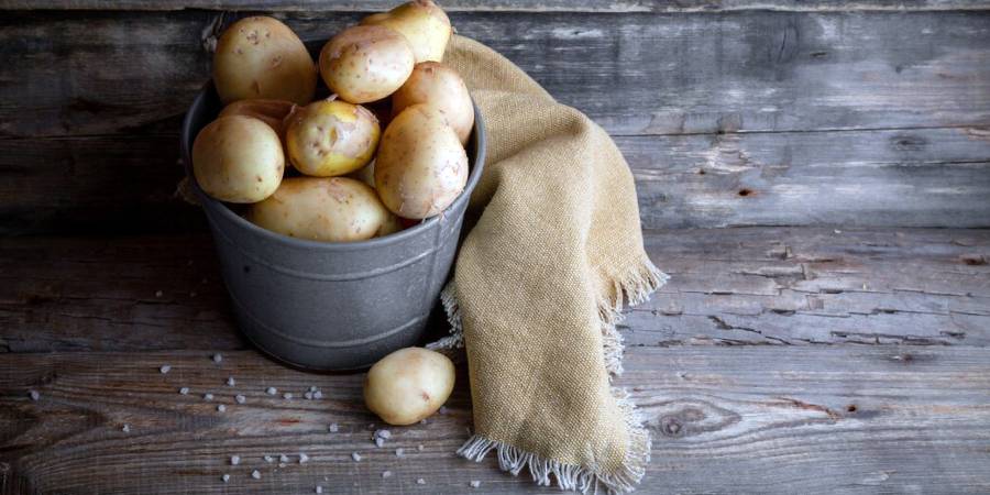 Kiedy sadzić ziemniaki w Polsce w 2026 roku: terminy, porady i najlepsze odmiany