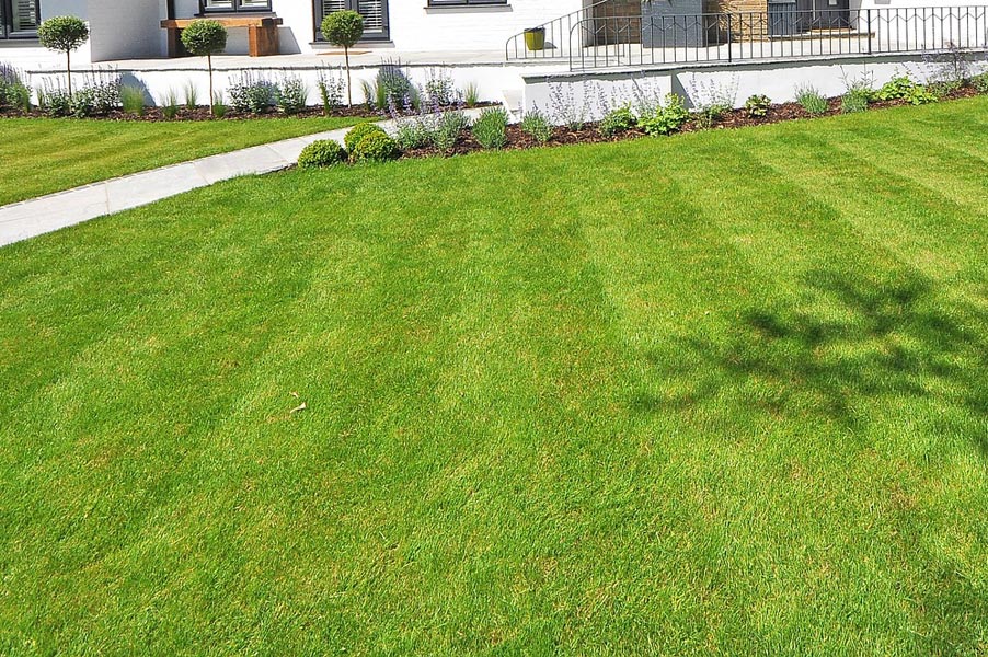 Kiedy siać trawę w Polsce: terminy i pielęgnacja na wiosnę 2026