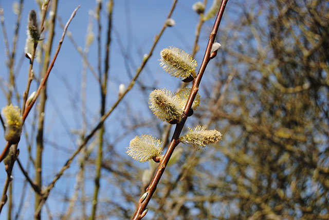 Pogoda w Polsce 15 i 16 marca: przelotny deszcz, chłodniejsze powietrze i lokalne burze