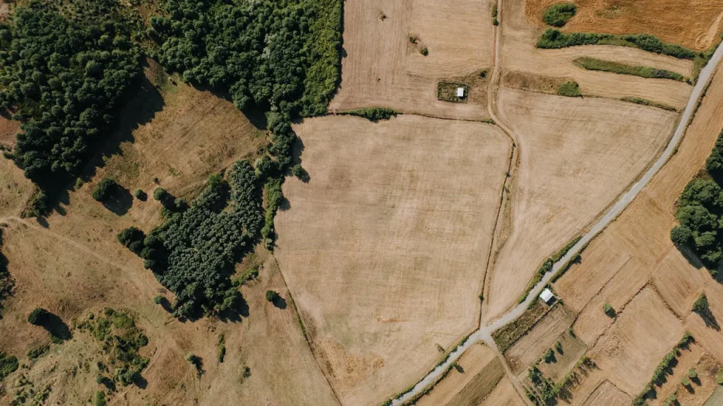 Ile kosztuje działka w 2026? Ceny rosną w całej Polsce