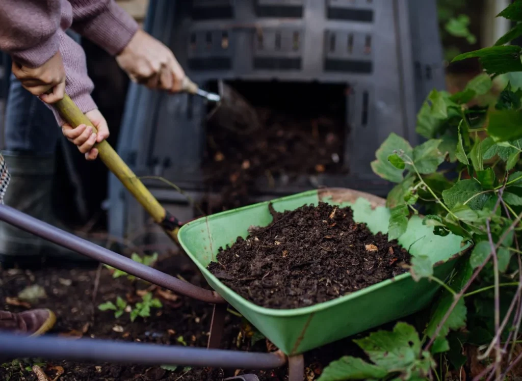 Kontrole kompostowników w Polsce 2026: daty, zasady i kary. Kto straci ulgę za odpady? Kontrole kompostowników w Polsce 2026: daty, zasady i kary. Kto straci ulgę za odpady?