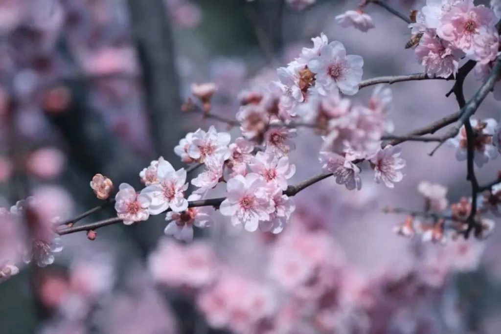 Pogoda w Polsce: przymrozki, alerty IMGW i chłodne noce na początku tygodnia. Sprawdź prognozę