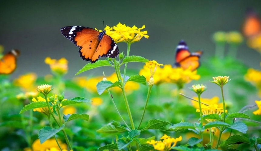 Majówka 2026 pod znakiem chłodu: prognoza pogody dla Polski