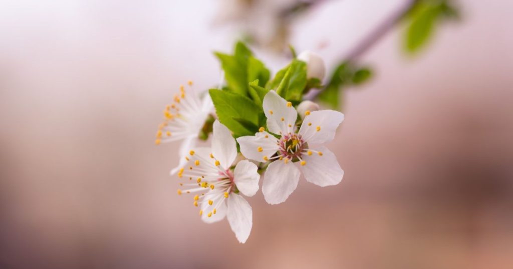 Kiedy ochłodzenie w Polsce? Pogoda po Wielkanocy 2026 zaskoczy spadkiem temperatur