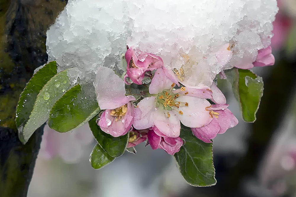 Mróz do -12°C w Polsce – IMGW ostrzega przed kulminacją zimna