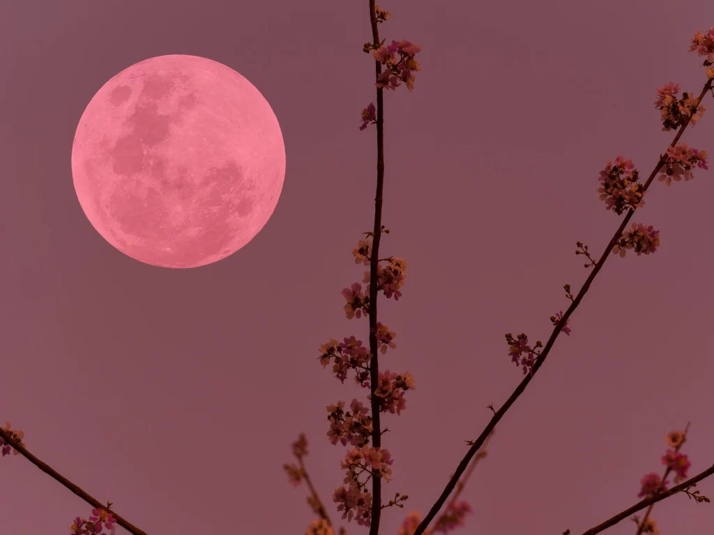 Horoskop na 2 kwietnia 2026: co przyniesie różowa pełnia znakom zodiaku