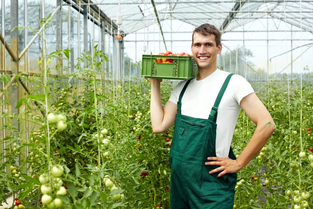 300 tys. zł dla młodych rolników – jak otrzymać premie krok po kroku