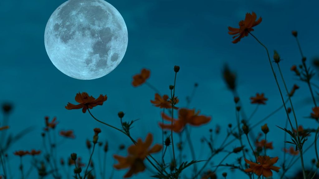 Kalendarz księżycowy na maj 2026: daty nowiu i pełni