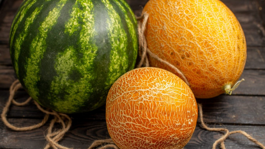 Kiedy siać melony w Polsce w 2026 roku: najlepsze odmiany, terminy i porady