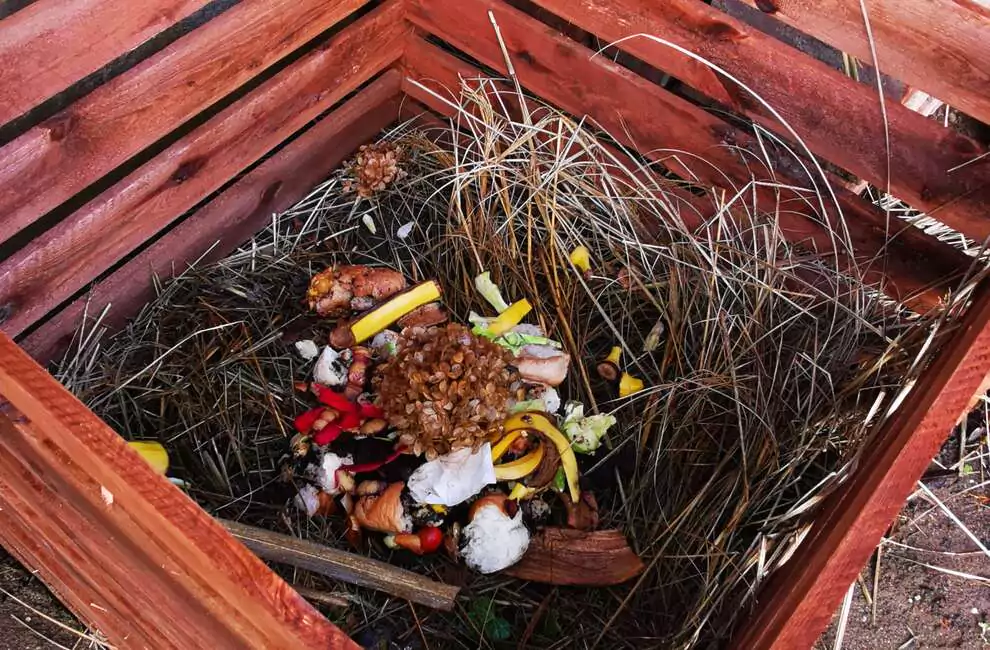 Kontrole kompostowników w Polsce 2026: daty, zasady i kary. Kto straci ulgę za odpady?