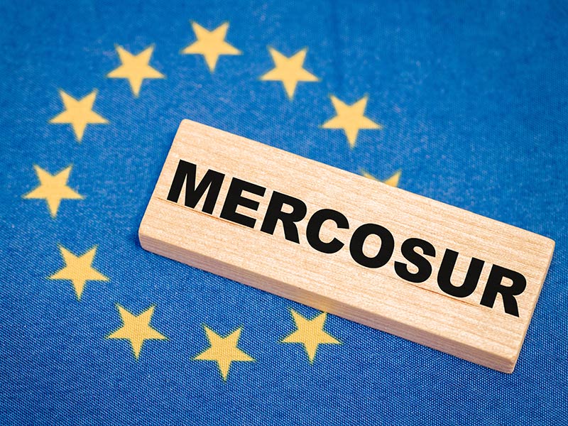 Skandal wokół umowy UE–Mercosur. Eksport mięsa poza kontrolą. Co to oznacza dla Polski i UE