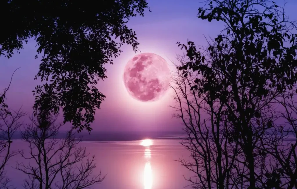 Horoskop na 2 kwietnia 2026: co przyniesie różowa pełnia znakom zodiaku