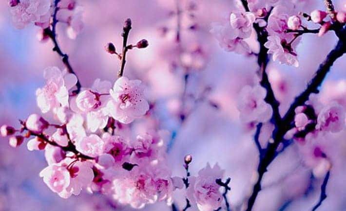 Pogoda w Polsce w kwietniu 2026: prognoza synoptyków, kiedy nadejdzie ochłodzenie