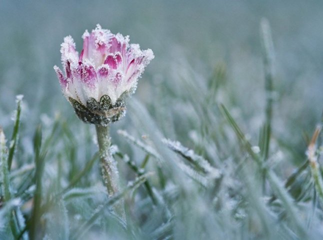 IMGW wydał alerty dla całej Polski. Noc przyniesie mróz nawet do -8°C