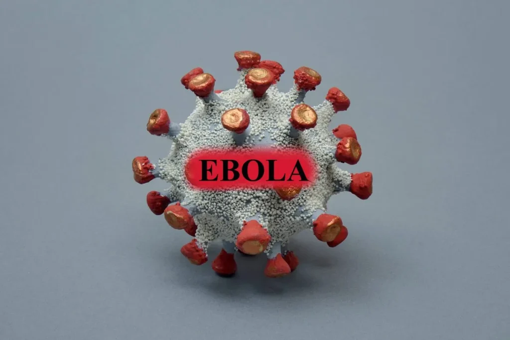 Wybuch Eboli: komunikat WHO, objawy, jak się przenosi i ryzyko dla Polski