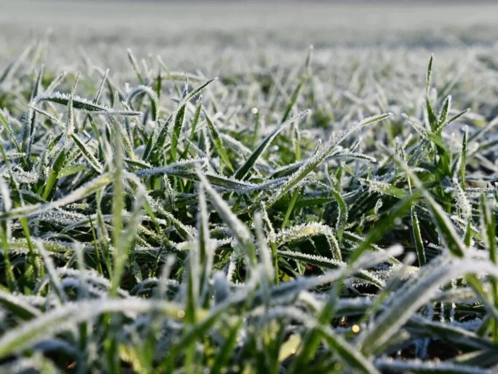 Antycyklon Borys przynosi mróz do Polski. IMGW wydał alerty. Temperatury spadną do -2