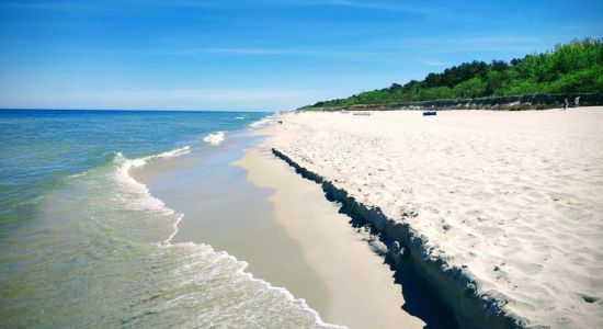Gdzie nad wodę w okolicach Torunia? Najlepsze plaże na lato 2026