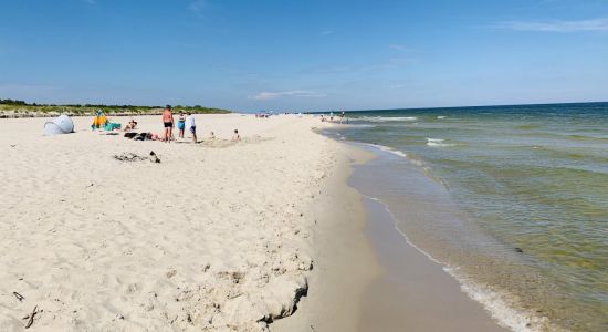 Gdzie popływać w Warszawie 2026: kąpielisko, baseny, godziny i dojazd
