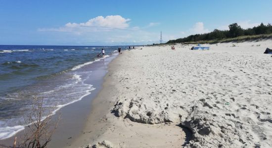 Gdzie nad wodę w okolicach Torunia? Najlepsze plaże na lato 2026